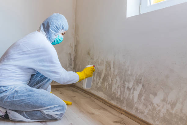 Mold Remediation specialist working in Hastings